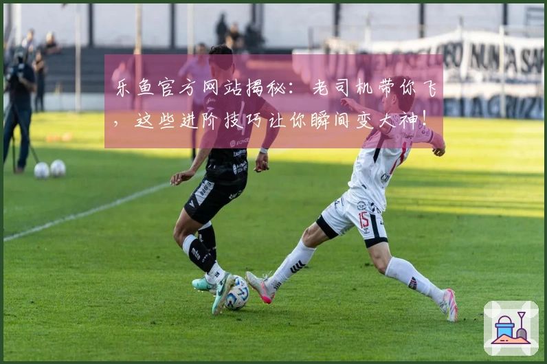 乐鱼官方网站揭秘：老司机带你飞，这些进阶技巧让你瞬间变大神！